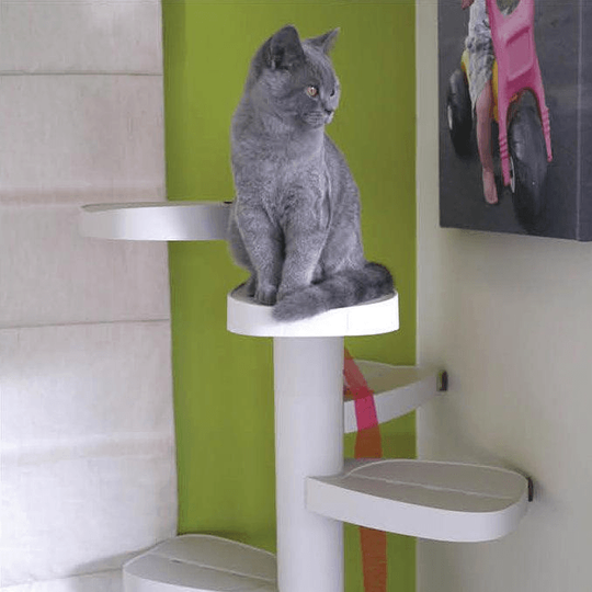 Monkee Tree - The Scalable Cat Climbing Ladder 18 Trunk Starter Pack - #shop_name